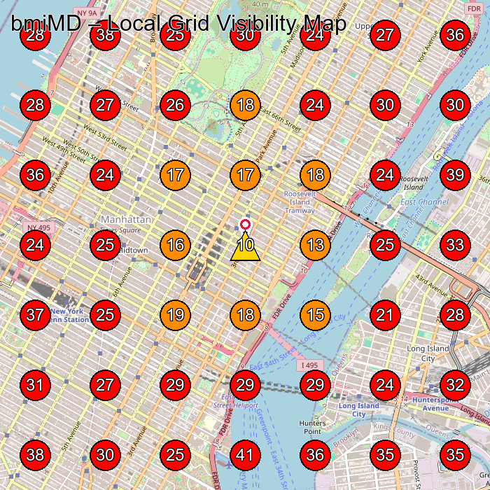 bmiMD GeoGrid visibility map for Wellness Program in Brooklyn
